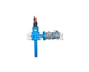 電動絲杆(gan)升降機